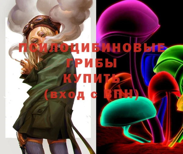 гидропоника Абдулино