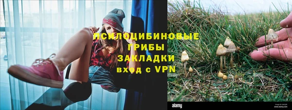 гидропоника Абдулино