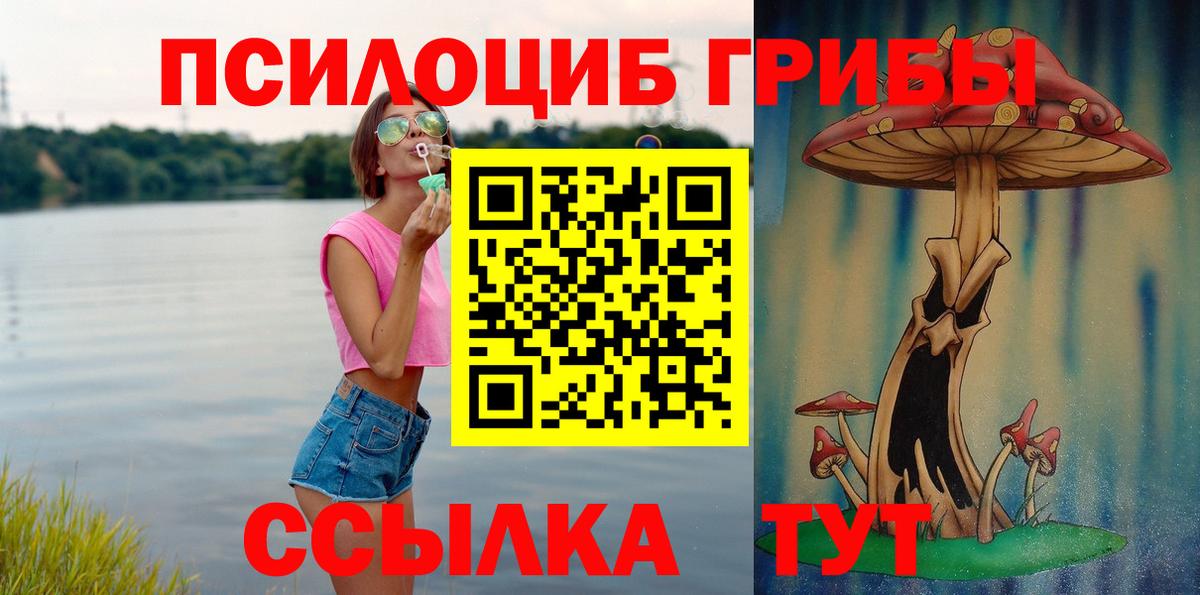 Псилоцибиновые грибы GOLDEN TEACHER Фурманов